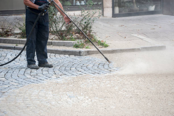 Best Gutter Cleaning  in Scotia, NY